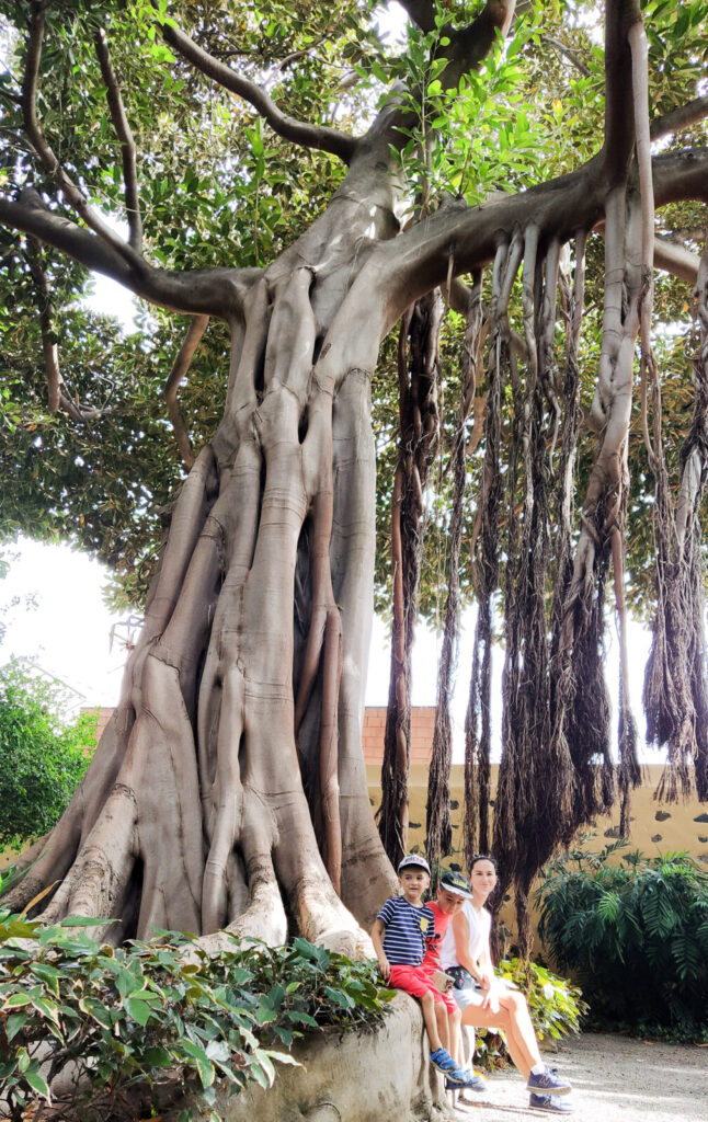 Botanical Garden tenerife with kids (2)