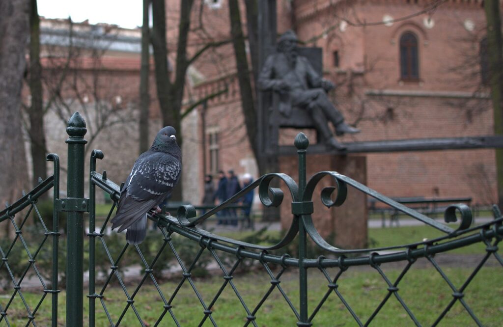 krakow with kids