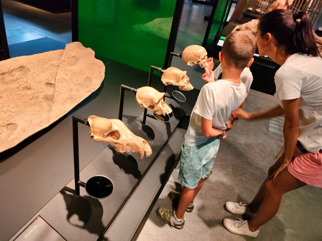 barcelona with kids 