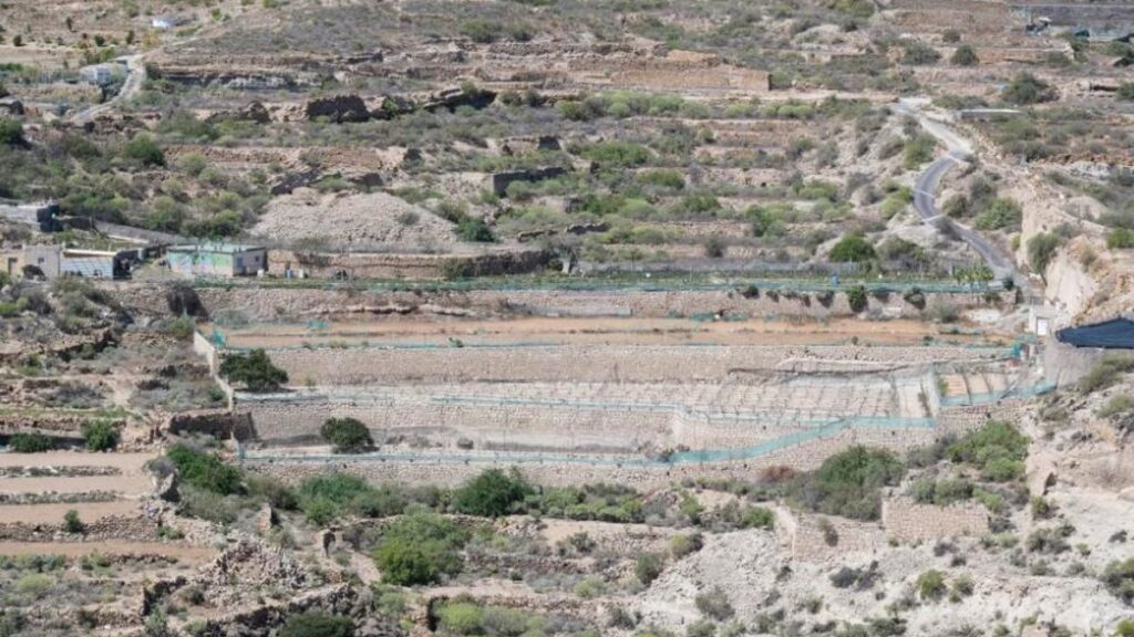 canary islands aridity climate crisis file