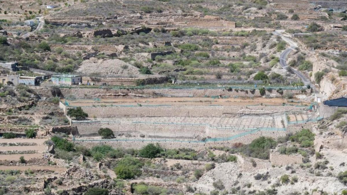 climate change in the Canary Islands  