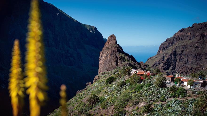 masca eco tax success tenerife conservation file