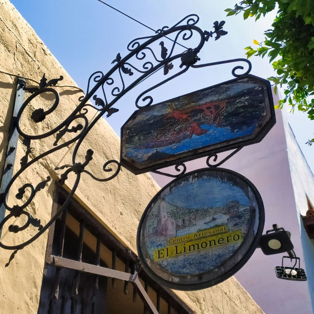 north or south tenerife (10)