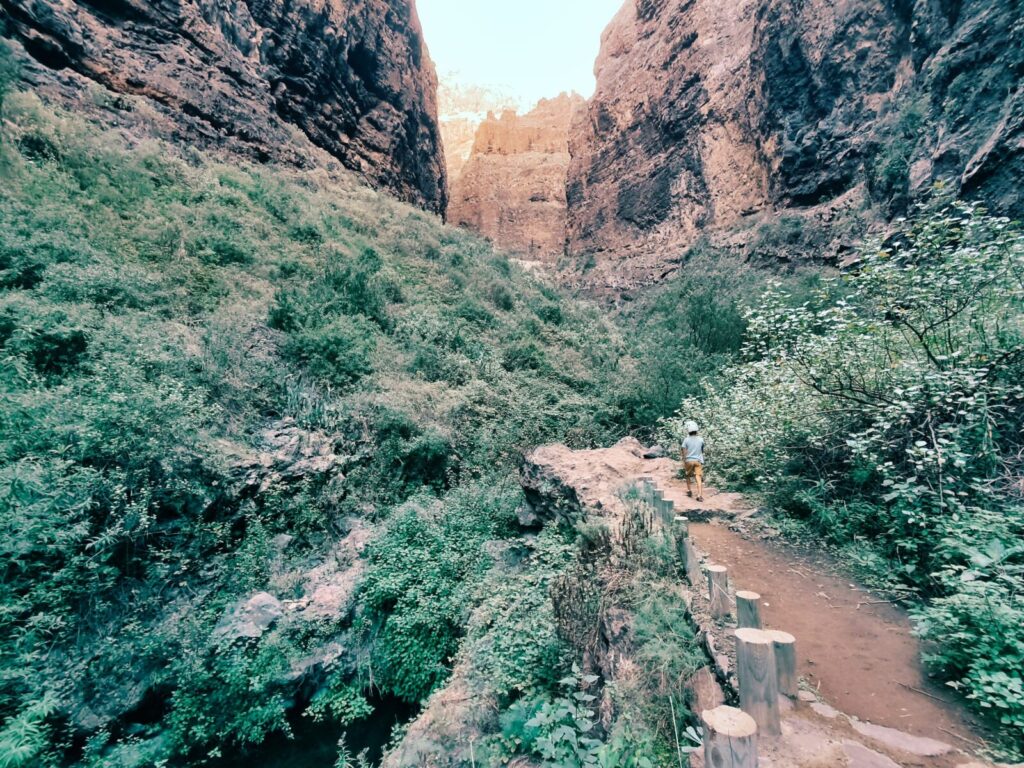 tenerife hiking Barranco del Infierno (7)