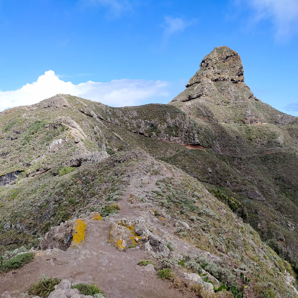 tenerife hiking Roque de Taborno(8)