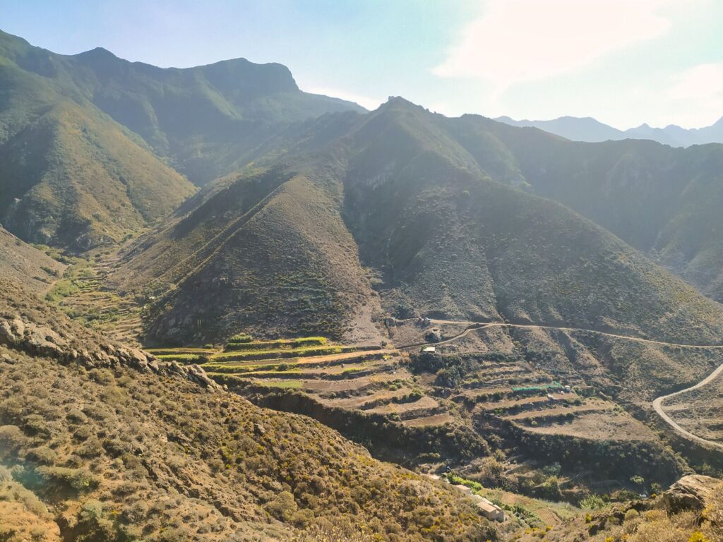 tenerife hiking el dragillo (10)