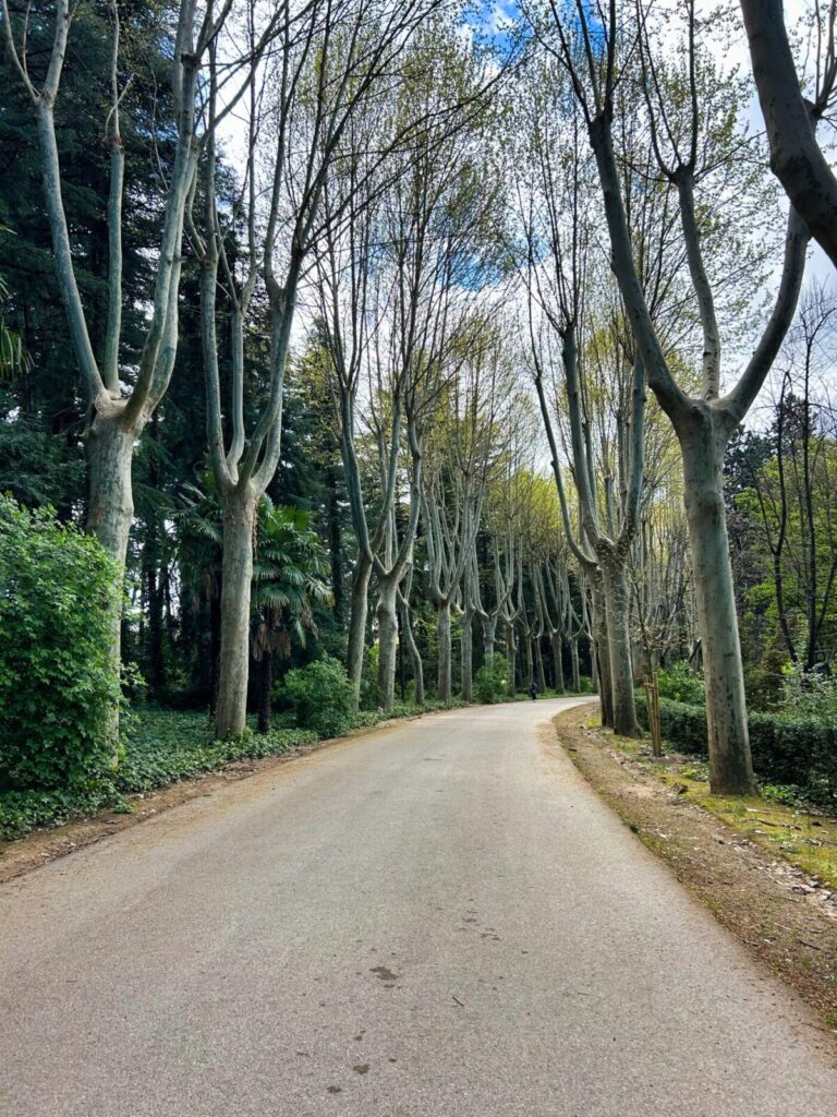Madrid with kids (136)