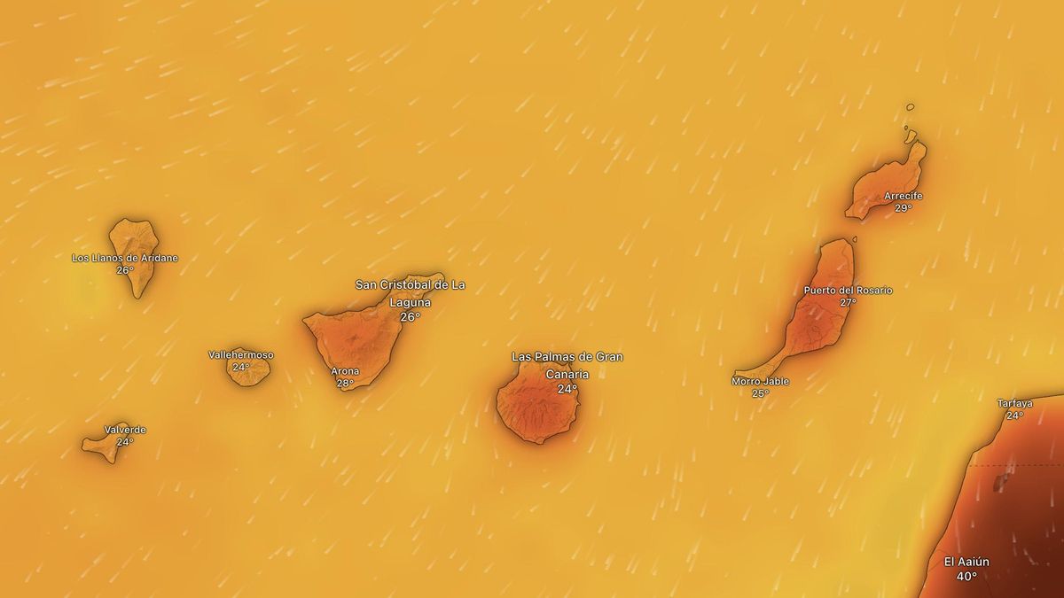 Canary Islands heatwave warnings  