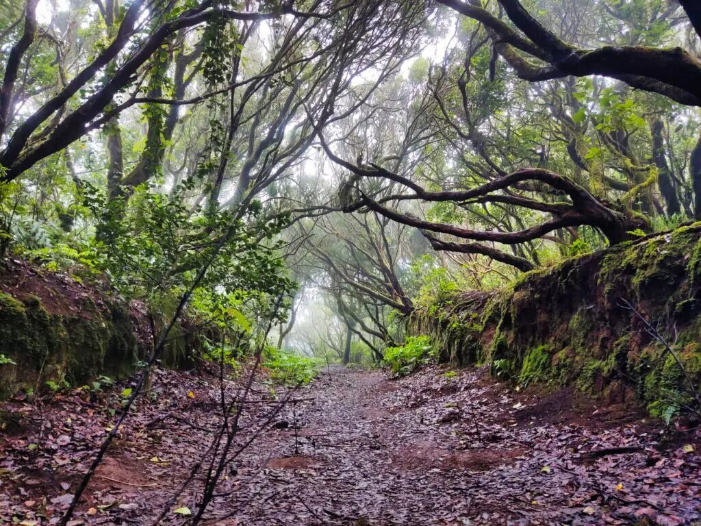 Tenerife itinerary