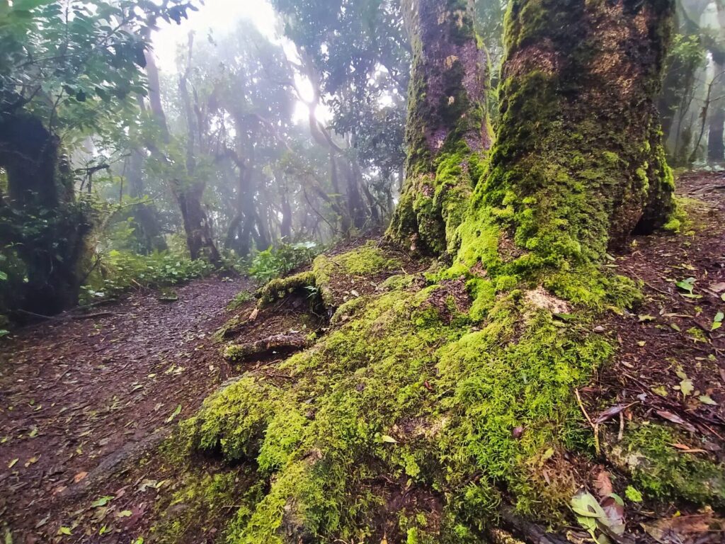 Tenerife itinerary