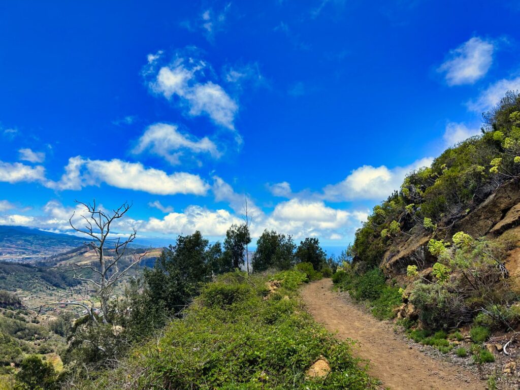 Tenerife Weather