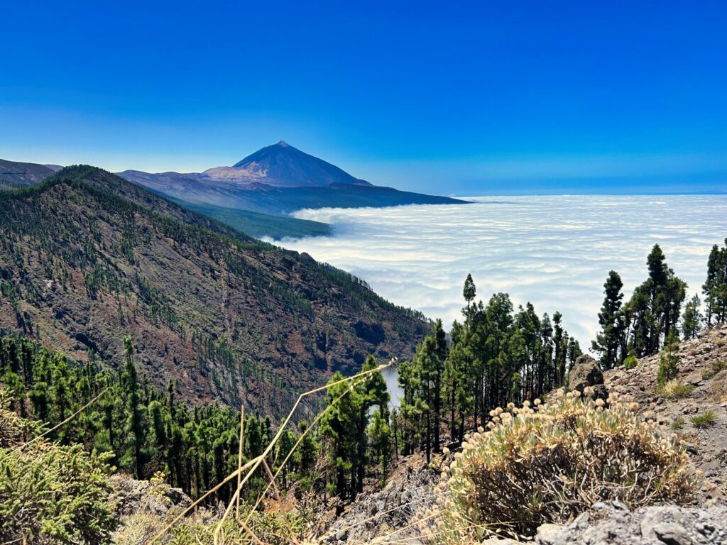 Tenerife Weather