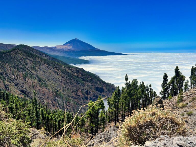 tenerife (31)