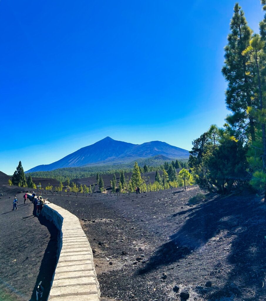 Tenerife Weather