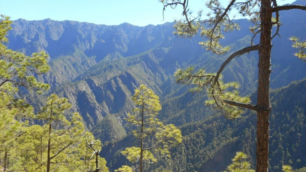 canary islands sustainable park projects file