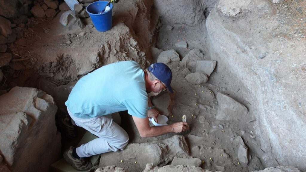 gomera cave archaeology human animal coexistence file