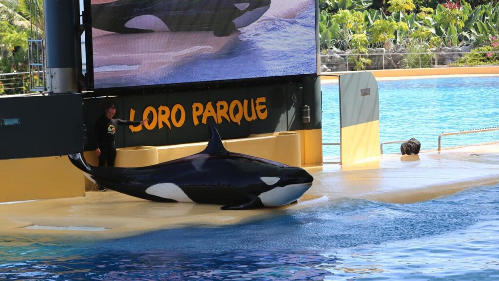 loro parque fined biometric data access file