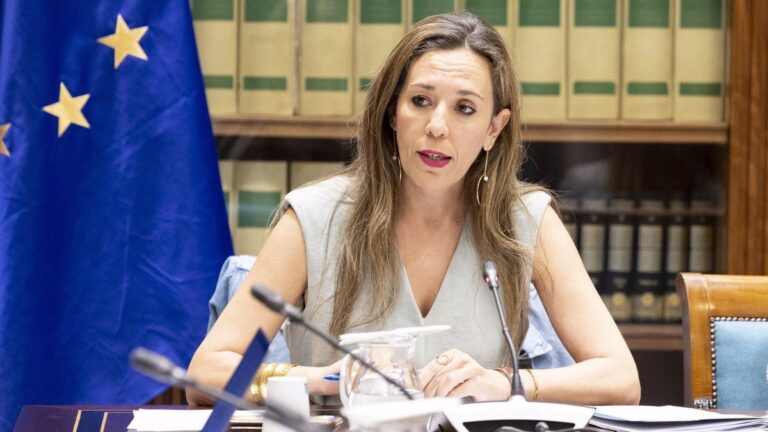 canary islands tourism sustainability report 2024 file