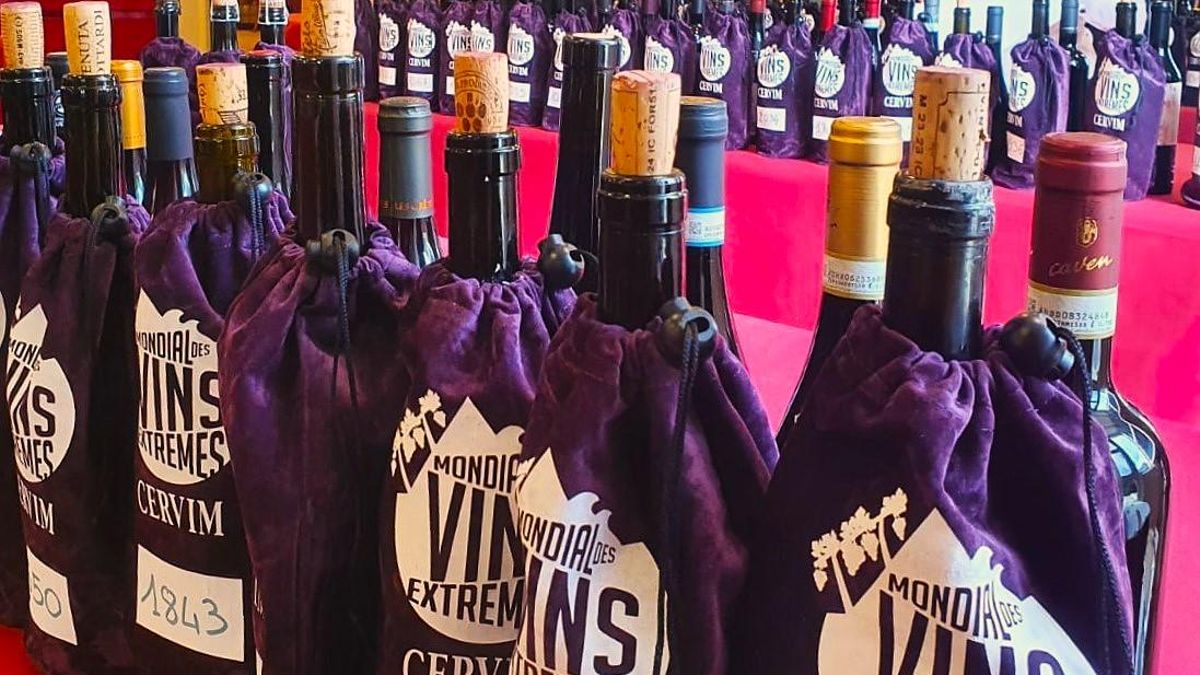 Canary Islands wines