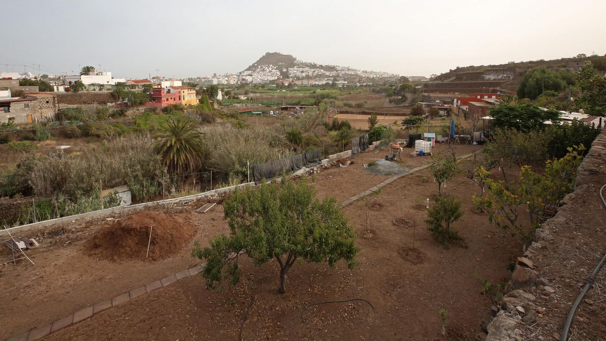 legal battle Canary Islands property purchase