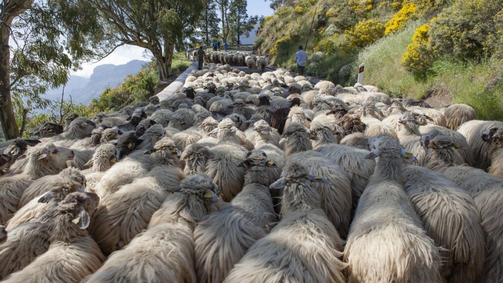 gran canaria unesco biosphere reserve guide file