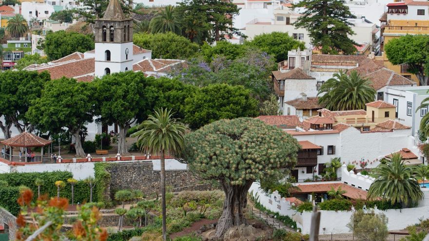 icod de los vinos new tourism website file