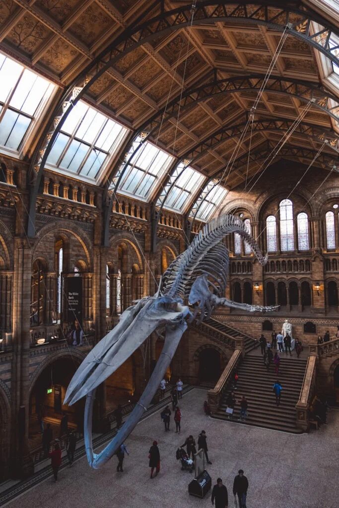 things to do in london with kids