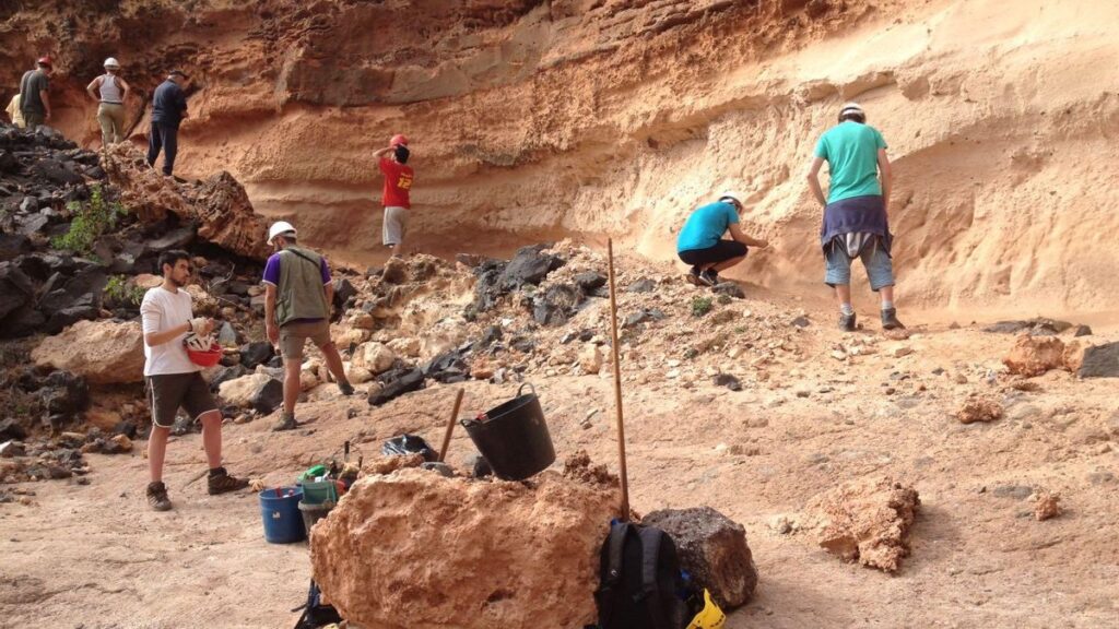 lanzarote fossil eggs elephant bird discovery file