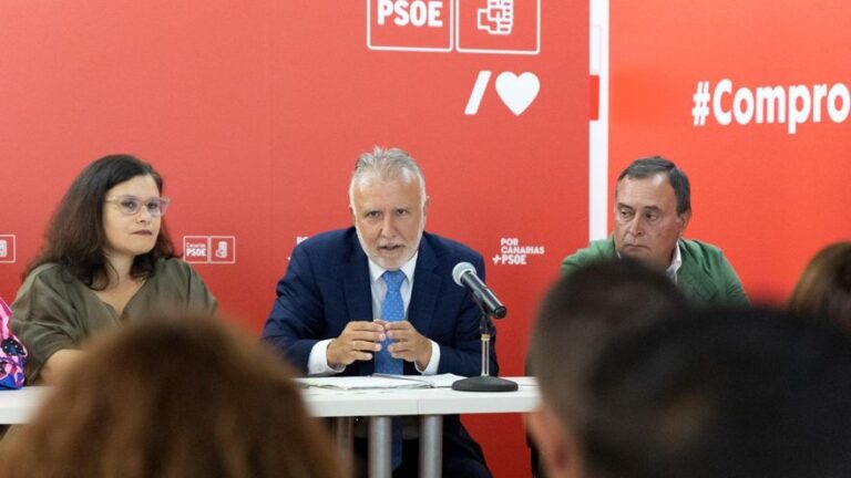 socialist leader critiques canary islands governance file