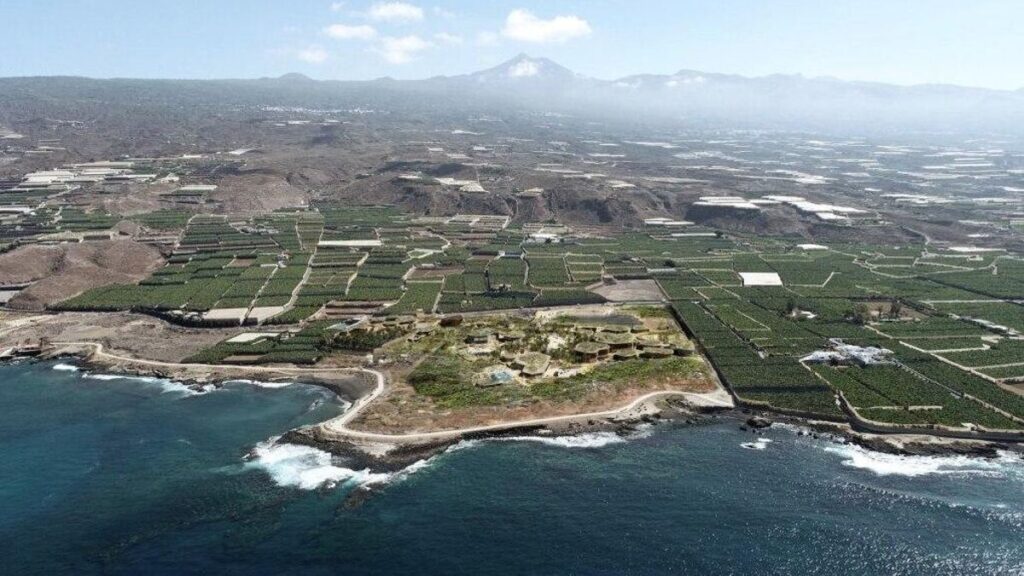 underwater gardens tenerife conflict interest file