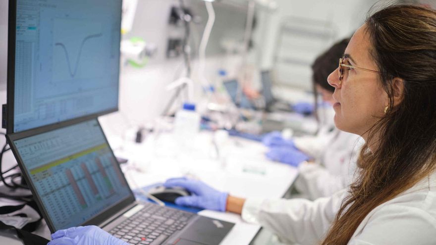 canary islands tech resilience global outage file