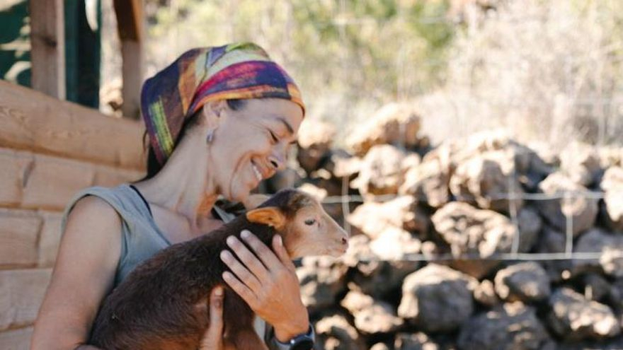 city stress to rural bliss canary islands file