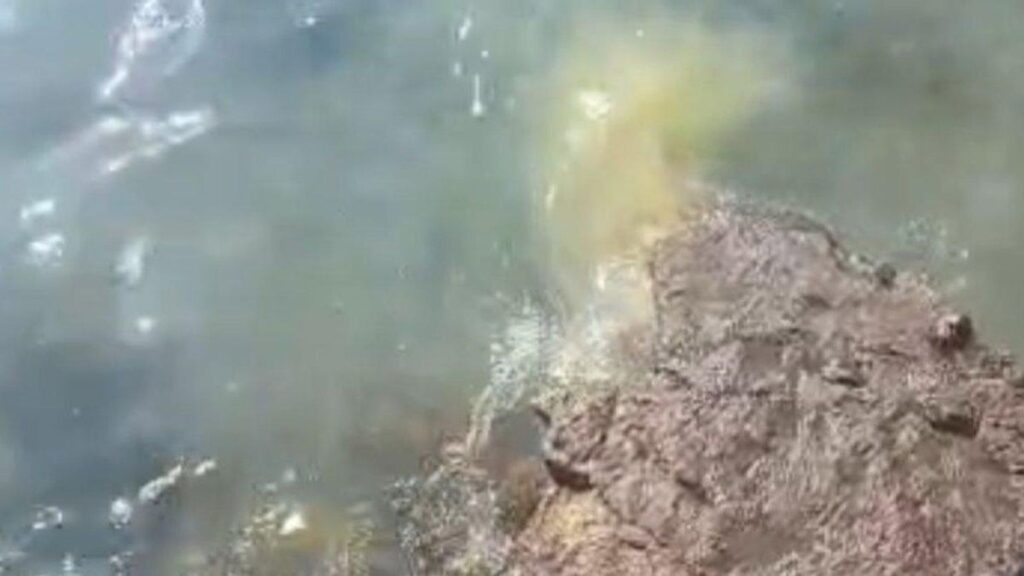 el reducto beach closed sewage concern file