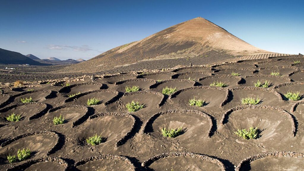 lanzarote fao world agricultural heritage file