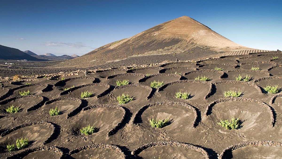 Lanzarote agricultural heritage