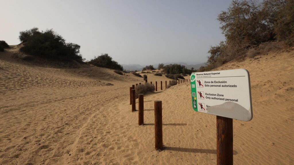 maspalomas dunes conservation project file