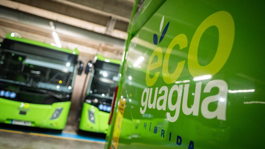 tenerife new buses sustainable transport file