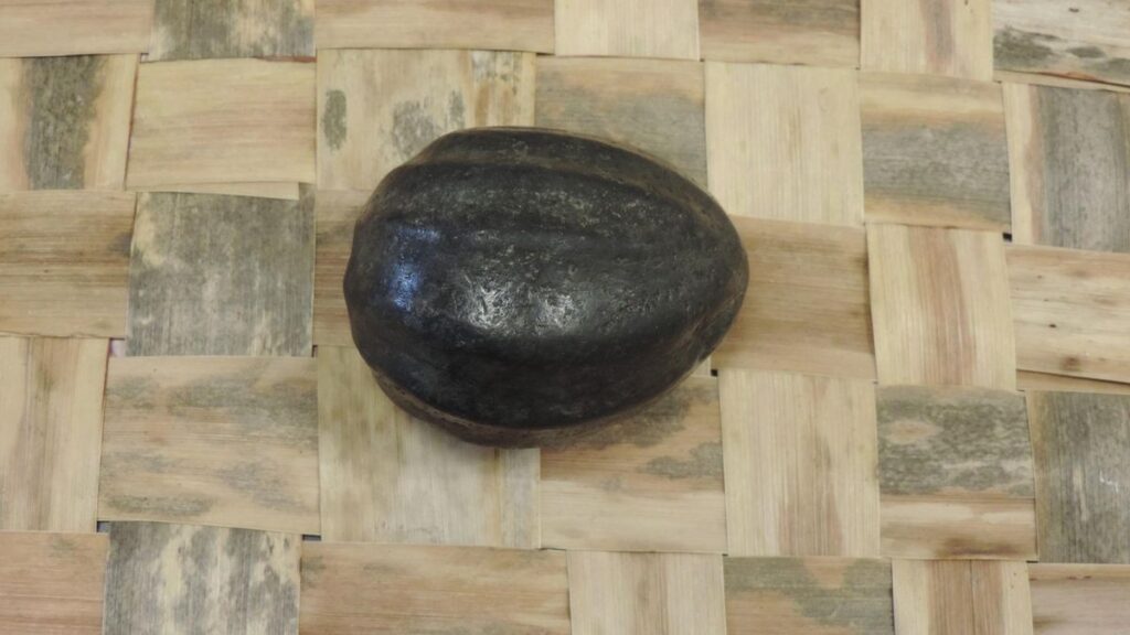 benahoarita spheroids la palma archaeology