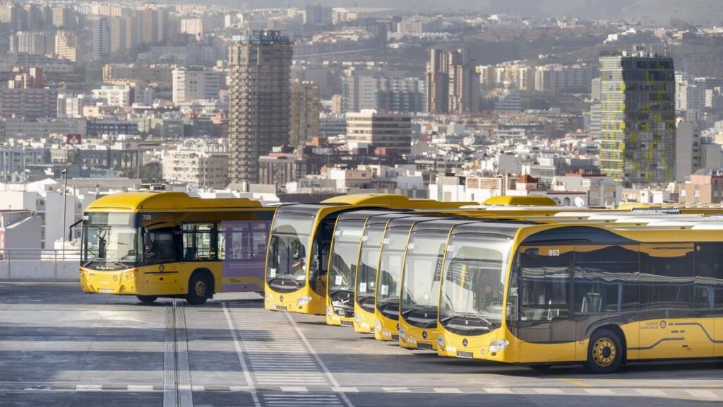 canary islands free public transport 2026 government measures