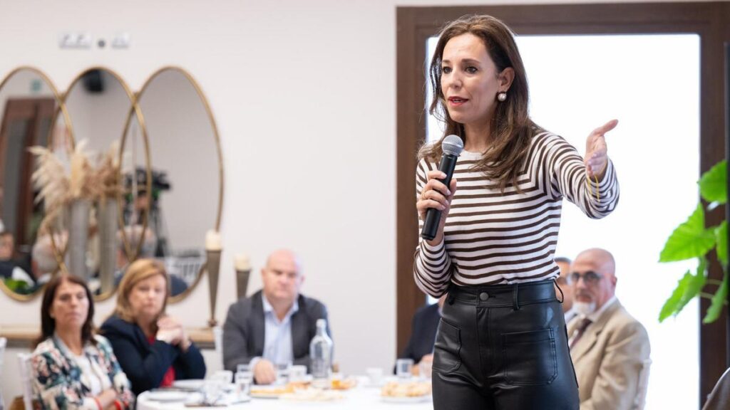 canary islands holiday rental law threats condemned